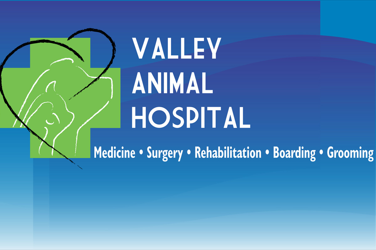 Valley Animal Hospital Branding